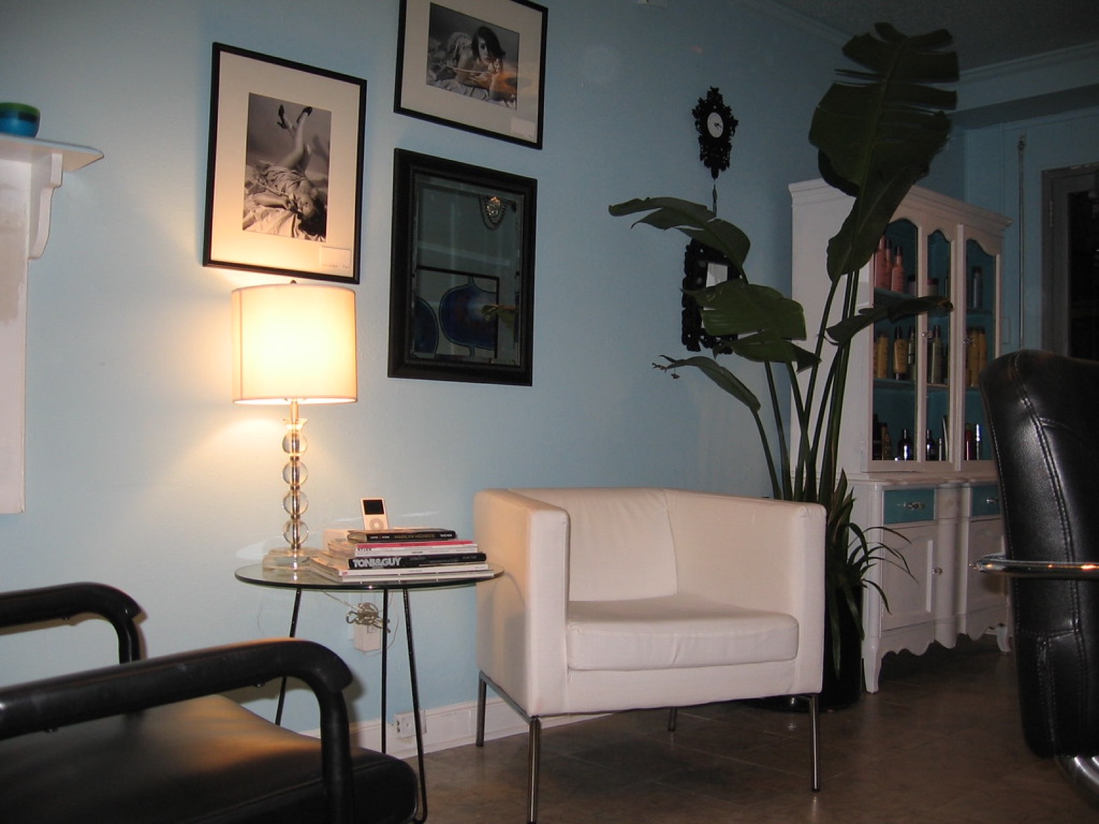 Consultorio de la Lic. Mariana Sotelo, sillón blanco junto a una planta